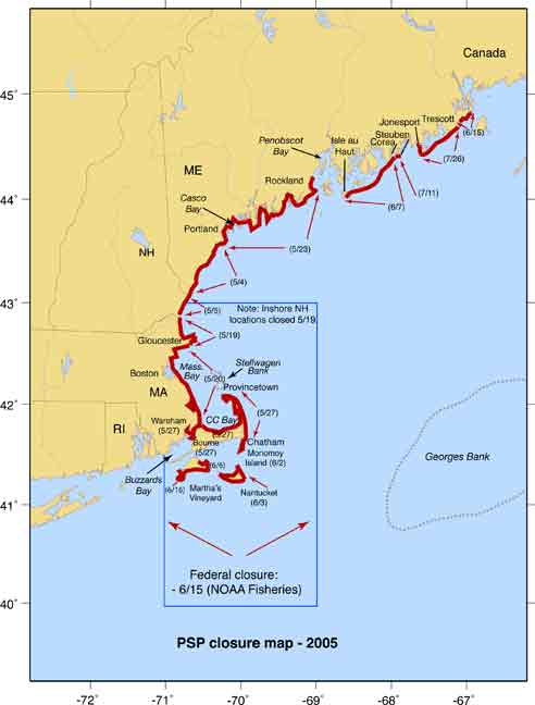 Mussel harvesting closure areas along the New England coast during 2005. Compiled from information provided by the Massachusetts Division of Marine Fisheries, the New Hampshire Department of Environmental Services, and the Maine Department of Marine Resources.
(WHOI / D. Anderson laboratory)