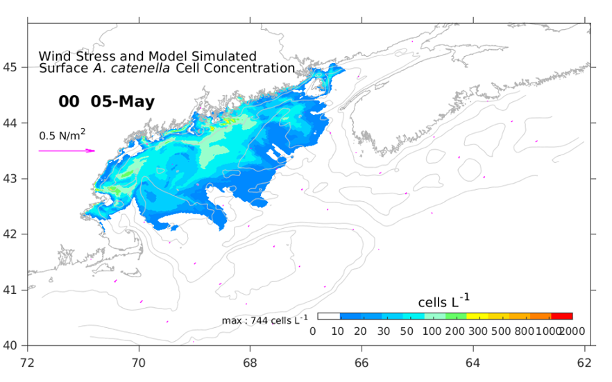 nowcast