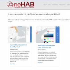 habhub-blog-featured-image